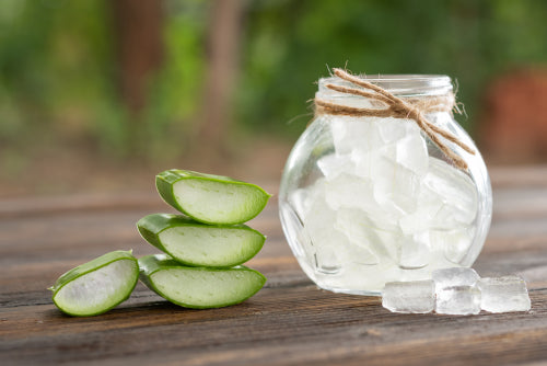 Breaking Down the Healing Power of Aloe Vera