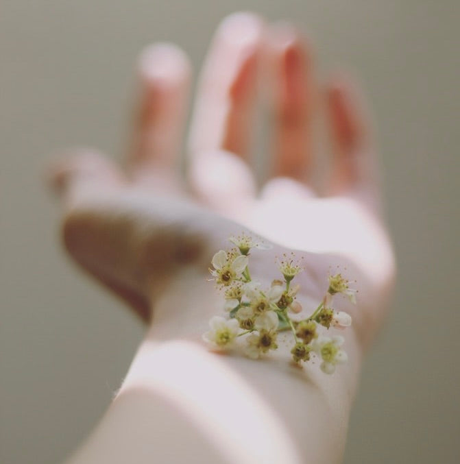 Cultivate your Inner Flora for Glowing Skin